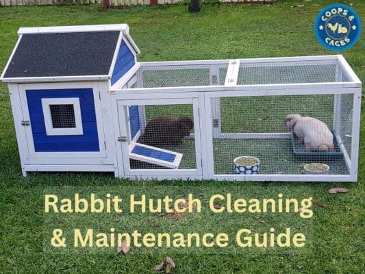 A blue hutch sitting on grass with two rabbits in it.