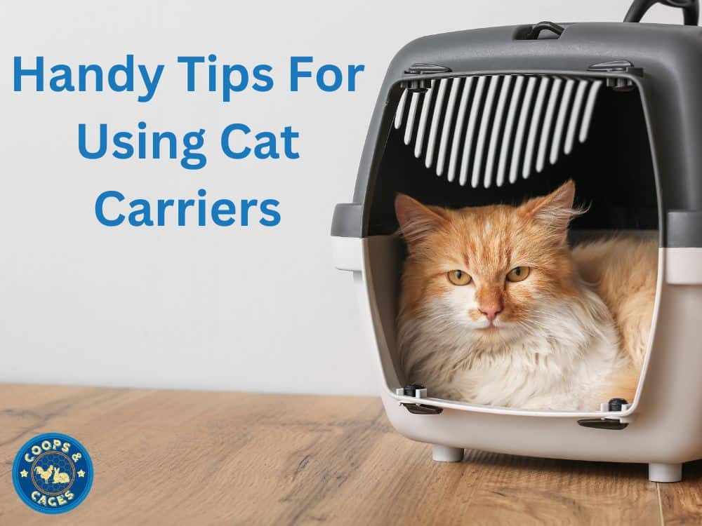 Handy Tips For Using Cat Carriers