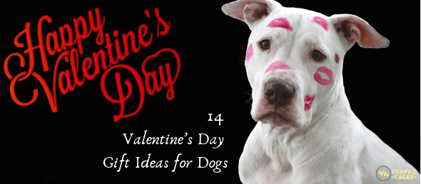 14 Valentine's Day Gift Ideas