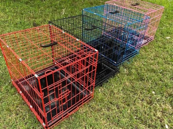 Small Collapsable Dog Crate 24