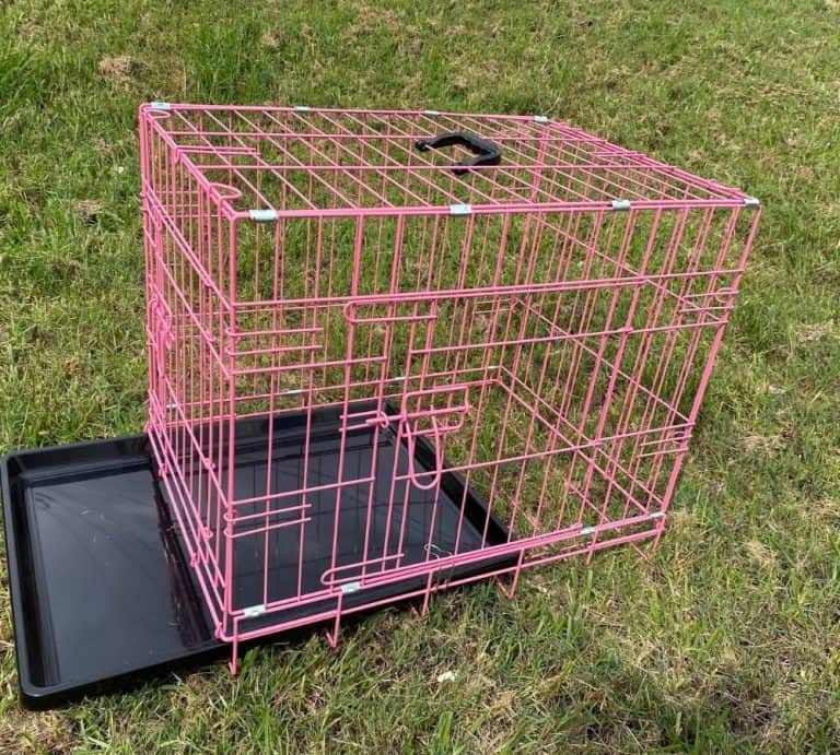 Small Collapsable Dog Crate 24   24 Inch Crate Pink Tray Open 768x691 