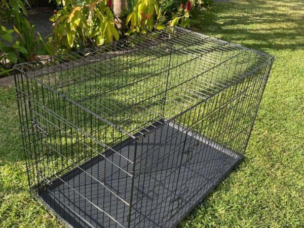 Large dog crate used best sale