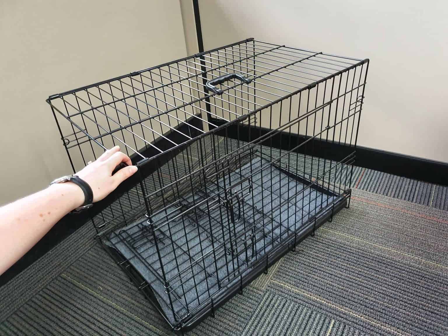 Medium Collapsable Cat Crate 30"