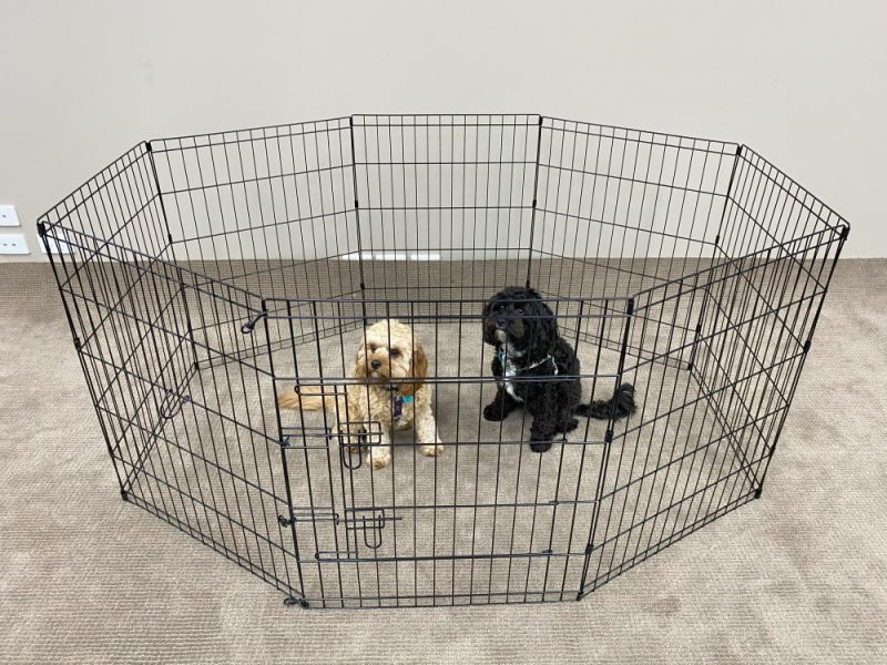Large Arena Collapsible Playpen Great for puppies