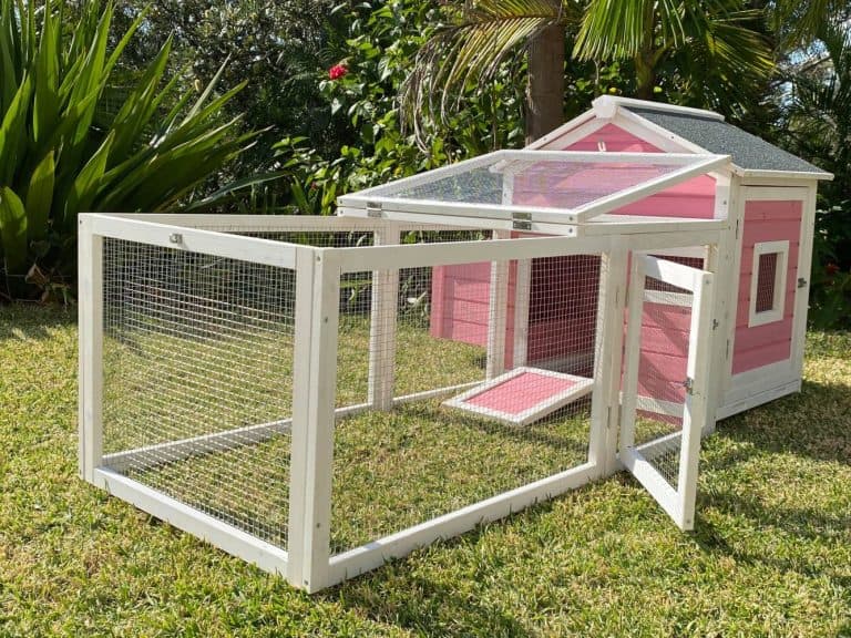 Rabbit Hutches And Enclosures For Sale Online Australia Coops And Cages