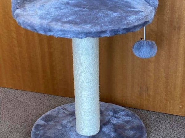 Kitty Cat Scratching Post