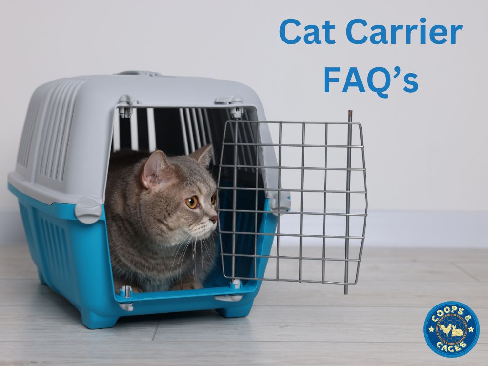 Cat Carrier Faqs