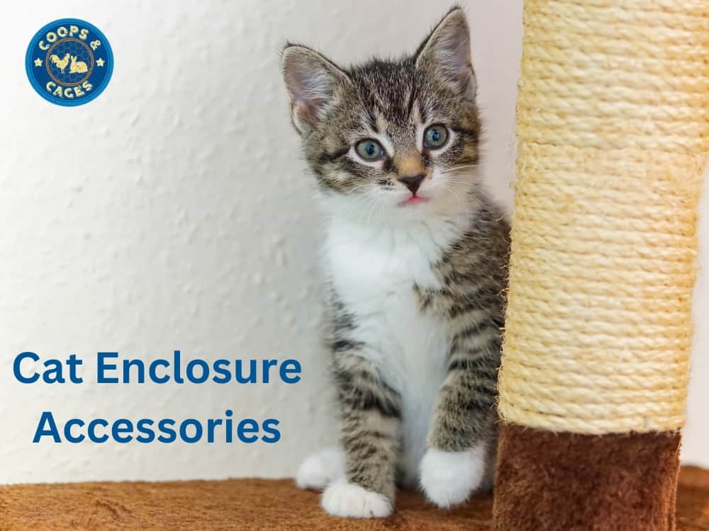 Accessories for Cat Enclosures