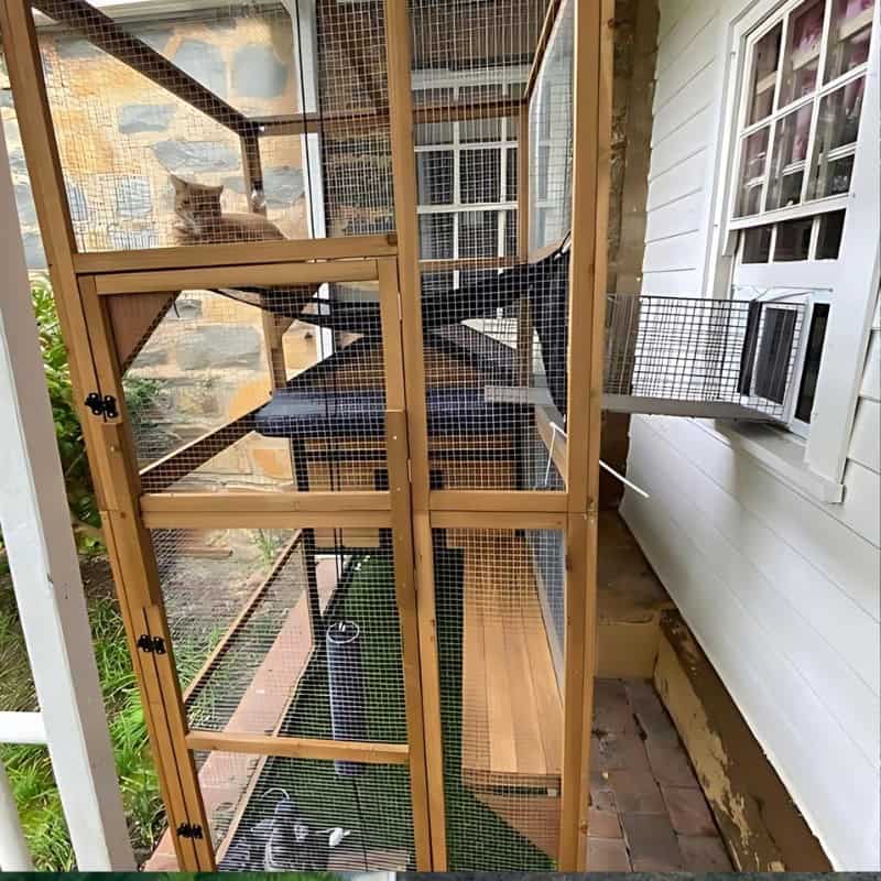 Top cat enclosure tunnels for the ultimate outdoor experience for cats