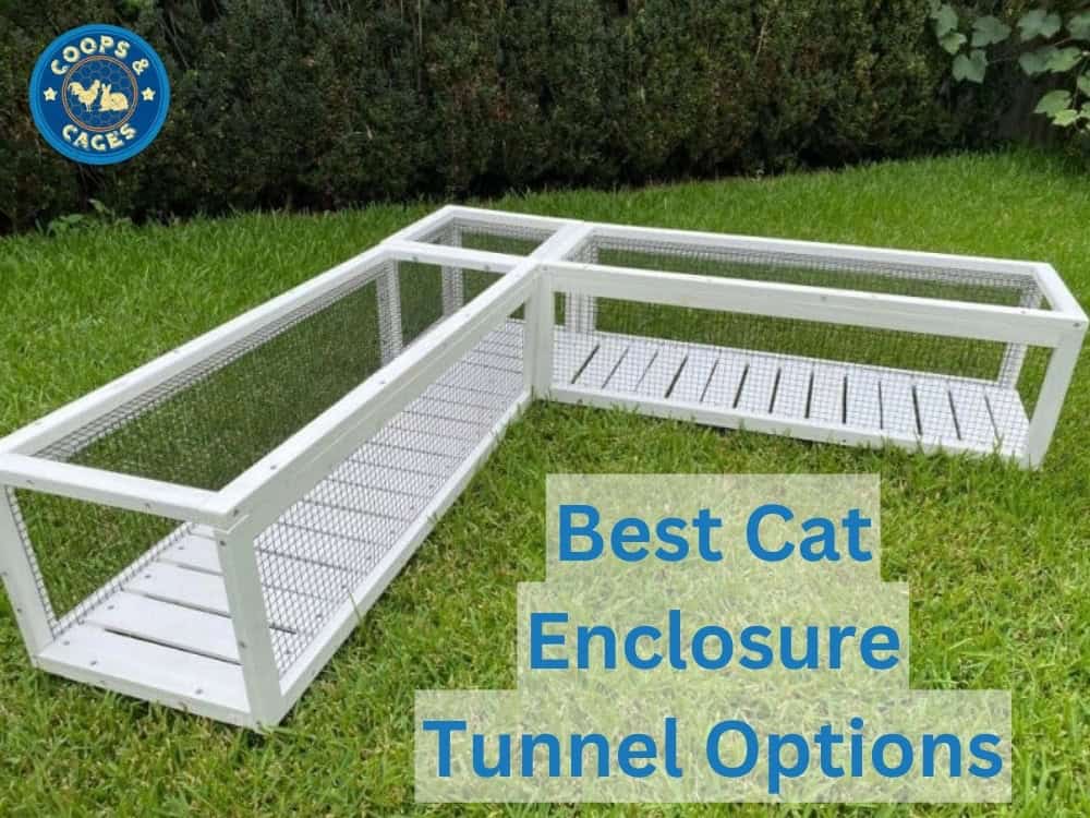 Best Modular Cat Tunnel Designs for your backyard