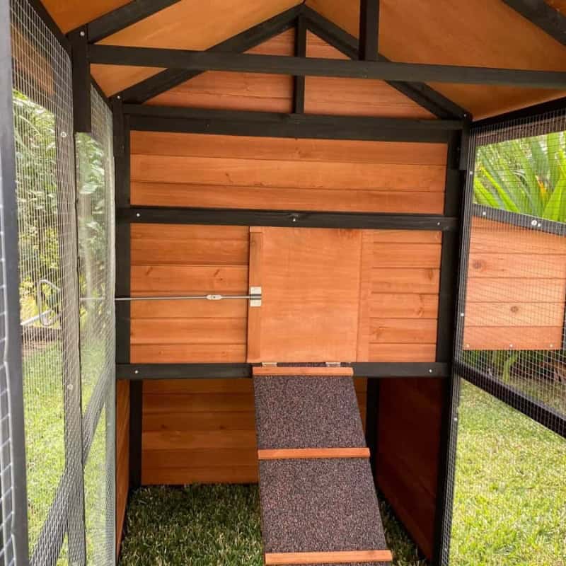 The inside view of a wooden chicken coop, the house walls are made of rot resistant timber, and galvanised wire mesh panels are used for the outdoor run area.