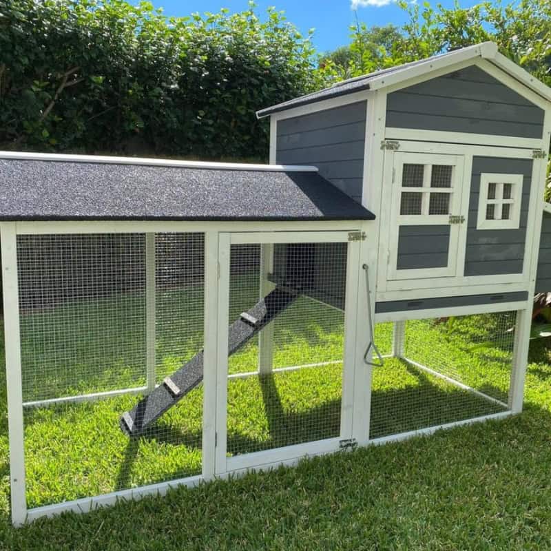 A light grey chicken coop rests on a patch of green grass. It features a raised house section with an outdoor run off the left side.