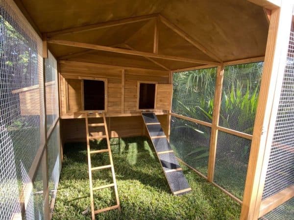 Homestead Chicken Coop ramp and ladder